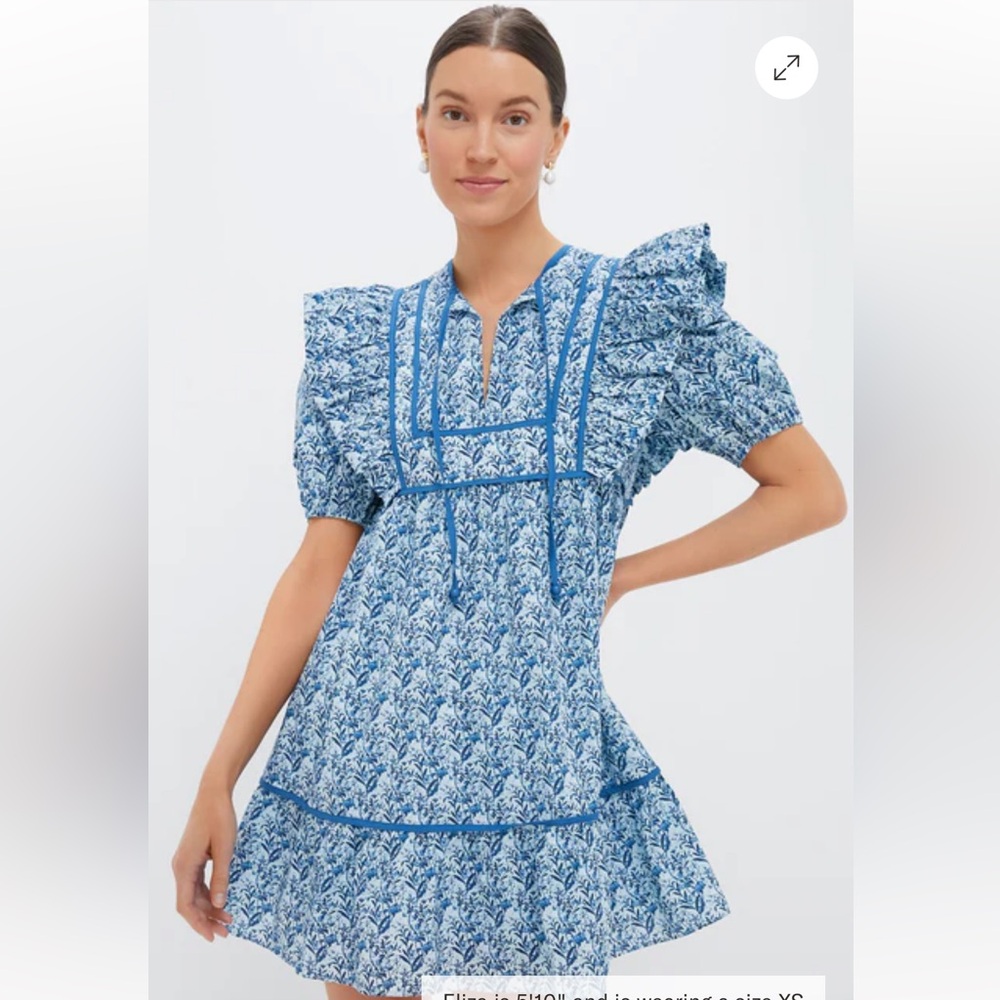 Tuckernuck Blue White Floral Mini Dress